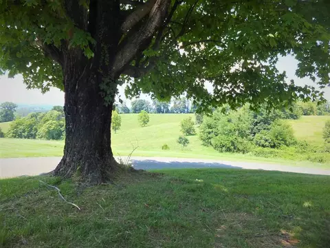 1122 Pratt Rd, Talbott, TN 37877 photo 9