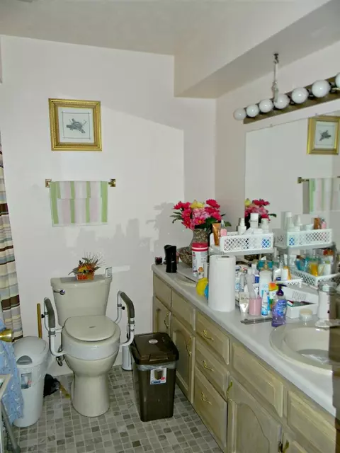2905 Lake Forest Cir, Talbott, TN 37877 photo 19