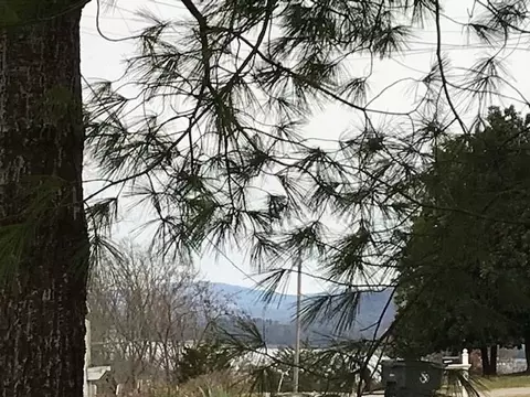 7770 Wells Rd, Talbott, TN 37877 photo 6