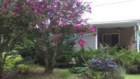 2455 Howard Rd, Bybee, TN 37713 photo 4