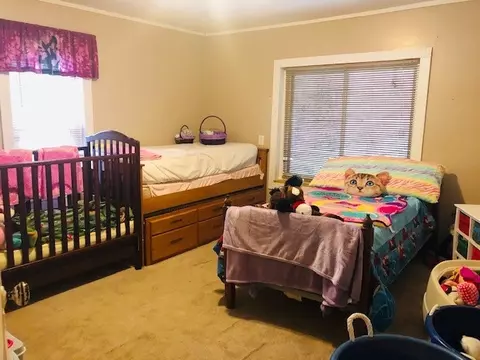 2455 Howard Rd, Bybee, TN 37713 photo 19