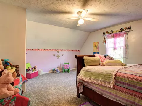 789 S Chucky Pike, Talbott, TN 37877 photo 32