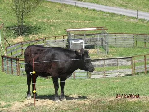 1935 Mount Hope Rd, Mohawk, TN 37810 photo 16