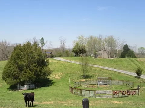 1935 Mount Hope Rd, Mohawk, TN 37810 photo 20