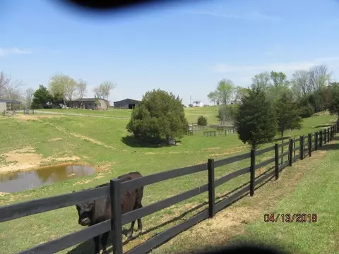 1935 Mount Hope Rd, Mohawk, TN 37810 photo 8