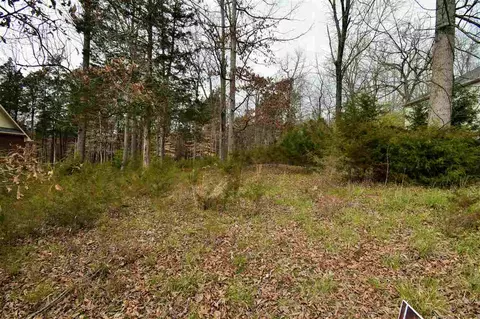 2403 Boat Dock Rd, Talbott, TN 37877 photo 3