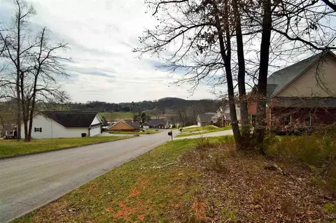 2403 Boat Dock Rd, Talbott, TN 37877 photo 1
