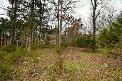 2403 Boat Dock Rd, Talbott, TN 37877 photo 2