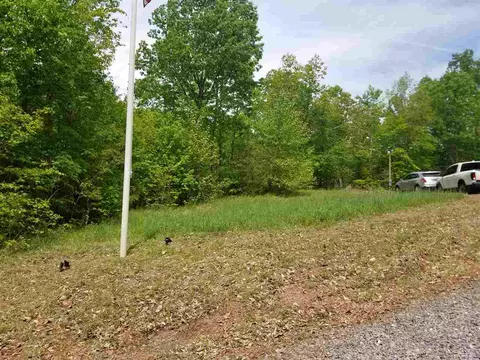 829 Dyer Hollow Rd, Mohawk, TN 37810 photo 10