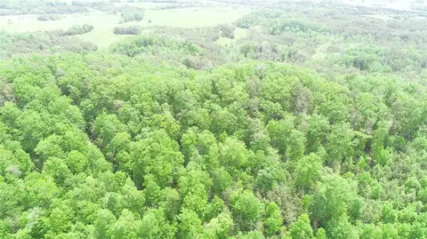 829 Dyer Hollow Rd, Mohawk, TN 37810 photo 4