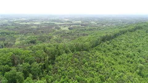 829 Dyer Hollow Rd, Mohawk, TN 37810 photo 5