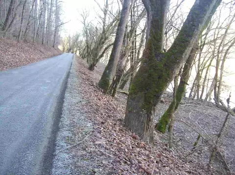 00 Chestnut Ridge Rd, Sneedville, TN 37869