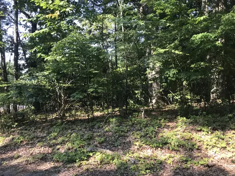 Clint Williams, Rutledge, TN 37861 photo 2