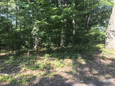 Clint Williams, Rutledge, TN 37861 photo 3