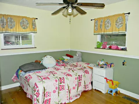 157 Britton Dr, Talbott, TN 37877 photo 9