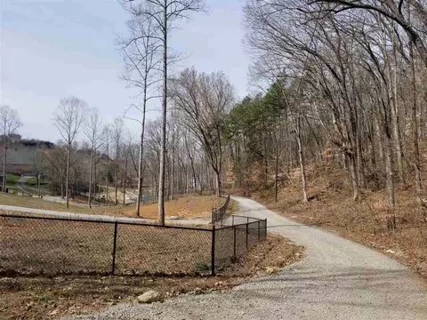 2256 Island Park Cir, Talbott, TN 37877 photo 5