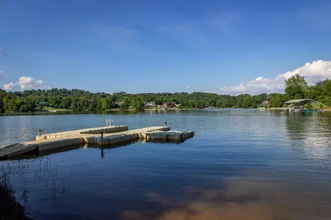 7785 Melanie Cir, Talbott, TN 37877 photo 7