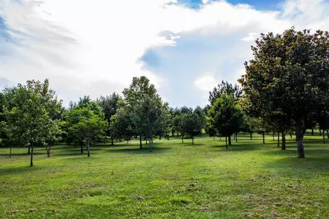 2449 Tarr Rd, Talbott, TN 37877 photo 32
