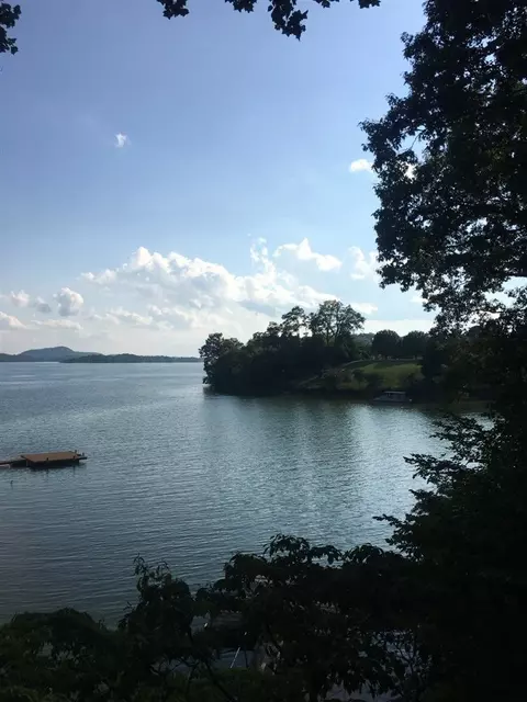 405 Hickory Hill Dr, Bean Station, TN 37708 photo 33