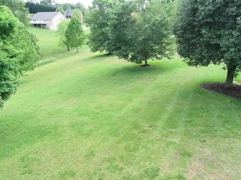 1699 Wind Chase Dr, Talbott, TN 37877 photo 3