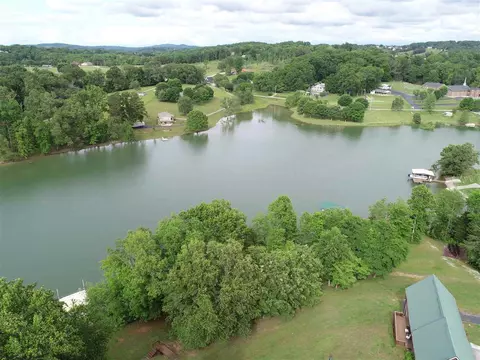 1699 Wind Chase Dr, Talbott, TN 37877 photo 8
