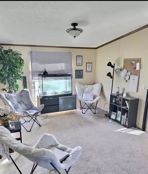975 Fox Rd, Chuckey, TN 37641 photo 7