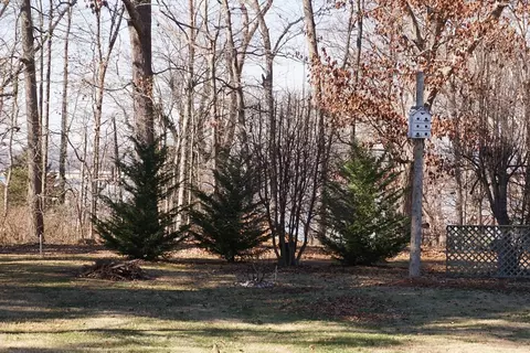 2811 Lake Forest Cir, Talbott, TN 37877 photo 23