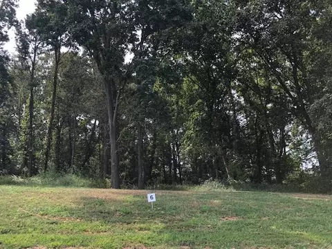 lot6 Fairway Dr, Dandridge, TN 37725