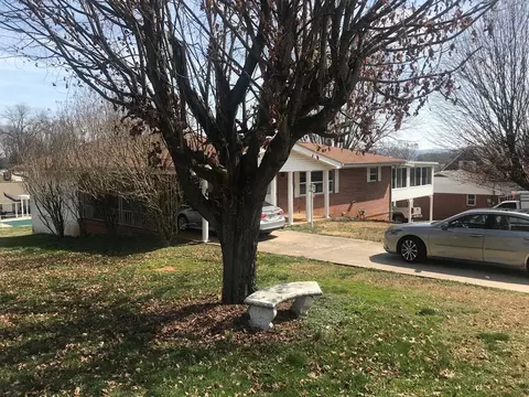 186 Navaho Trl, Talbott, TN 37877 photo 4