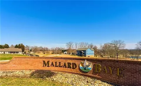 lot198 Woodstock Dr, Rutledge, TN 37861