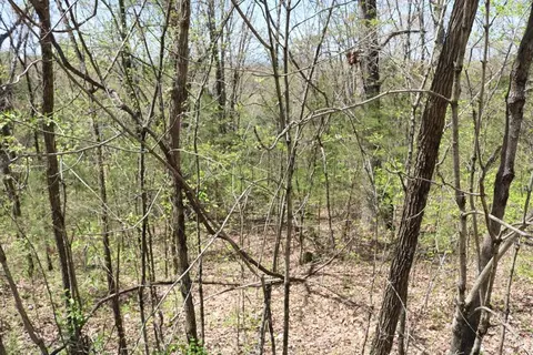 445 Hightop Rd, Midway, TN 37809 photo 25