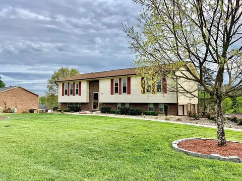 699 Barbara Dr, Talbott, TN 37877 photo 1