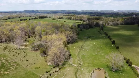 340 Concord Rd, Mohawk, TN 37810 photo 24
