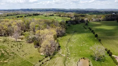 340 Concord Rd, Mohawk, TN 37810 photo 29