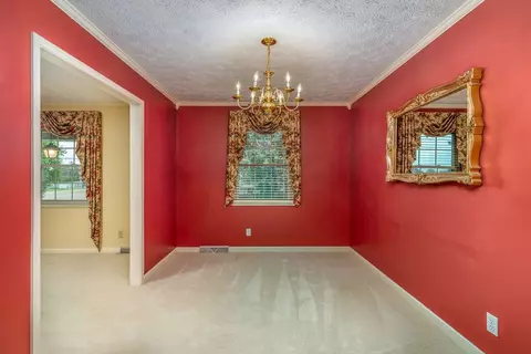 6659 Archer Cr, Talbott, TN 37877 photo 17