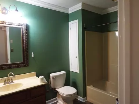 6272 Lavern Cir, Talbott, TN 37877 photo 22