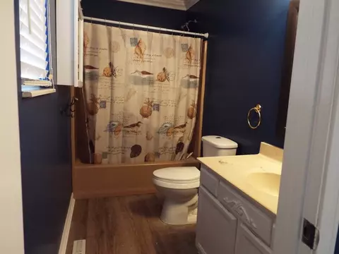 6272 Lavern Cir, Talbott, TN 37877 photo 34