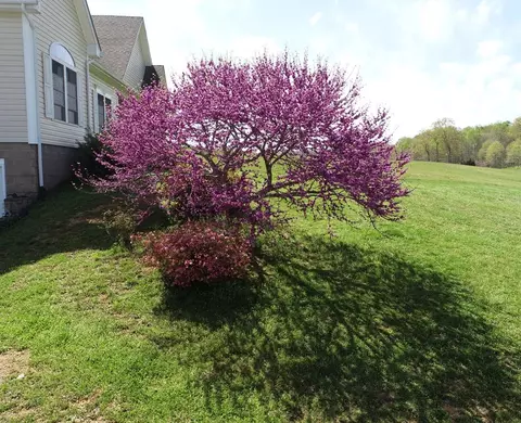 264 Hodge Rd, Bean Station, TN 37708 photo 34