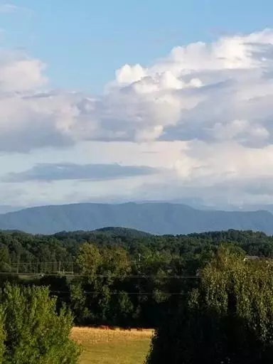 121 Scenic View Dr, Talbott, TN 37877 photo 52