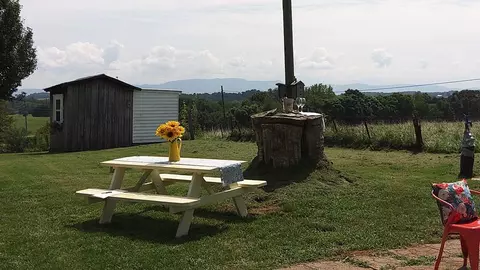 1597 Talbott Kansas, Talbott, TN 37877 photo 50