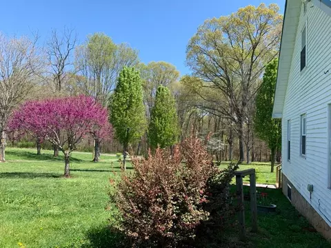 1597 Talbott Kansas, Talbott, TN 37877 photo 11