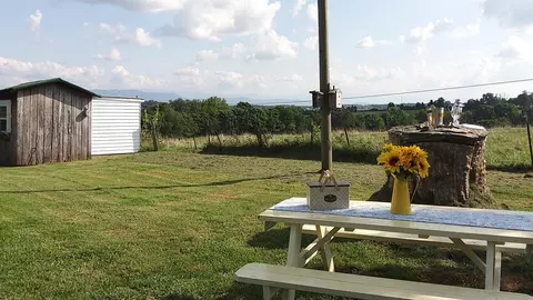 1597 Talbott Kansas, Talbott, TN 37877 photo 6