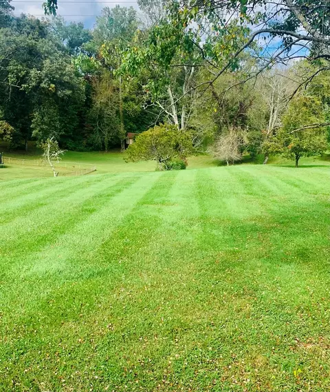 287 Whippoorwill Dr, Talbott, TN 37877 photo 4