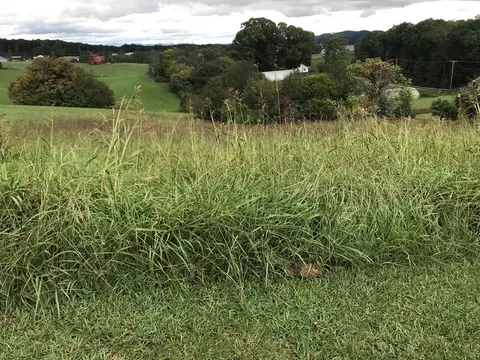 lot12 Ostrich Ln, Rutledge, TN 37861