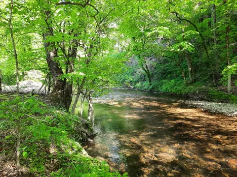 581 Kaylees Loop, Del Rio, TN 37727