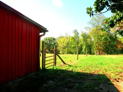 8209 Greenbriar Rd, Talbott, TN 37877 photo 35