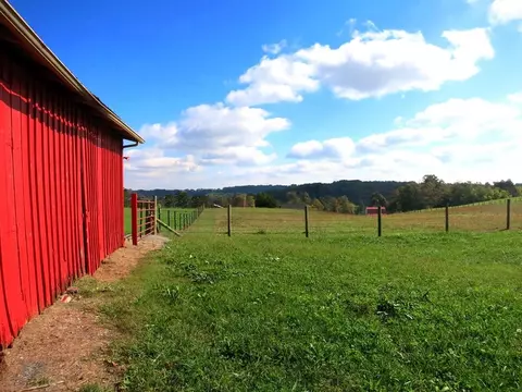 8209 Greenbriar Rd, Talbott, TN 37877 photo 11