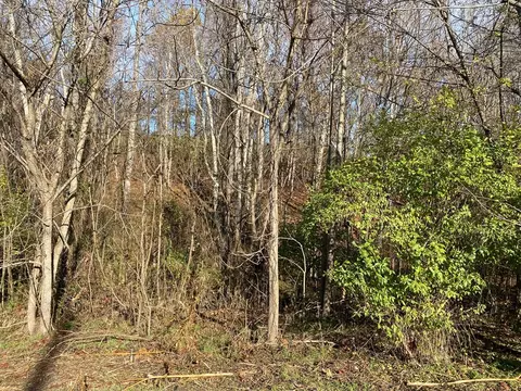 8070 W Pointe Dr, Talbott, TN 37877 photo 9