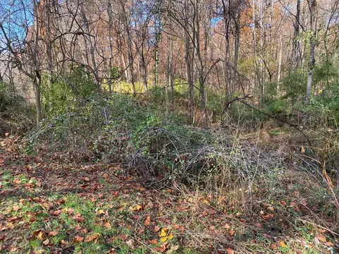 8070 W Pointe Dr, Talbott, TN 37877 photo 8