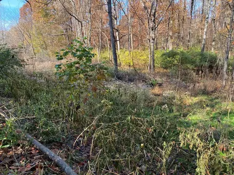 8070 W Pointe Dr, Talbott, TN 37877 photo 5